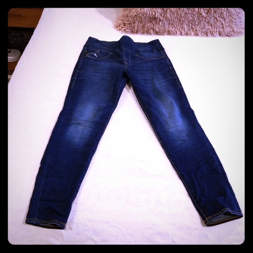 Rock & Republic Denim Rx